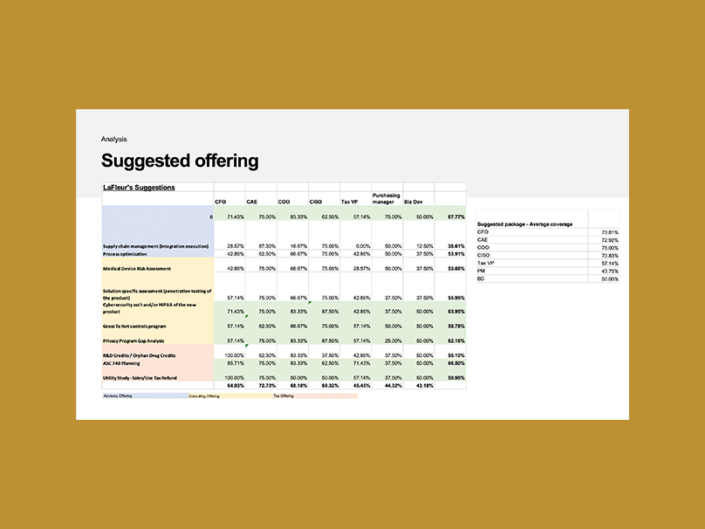 New Consulting Offering